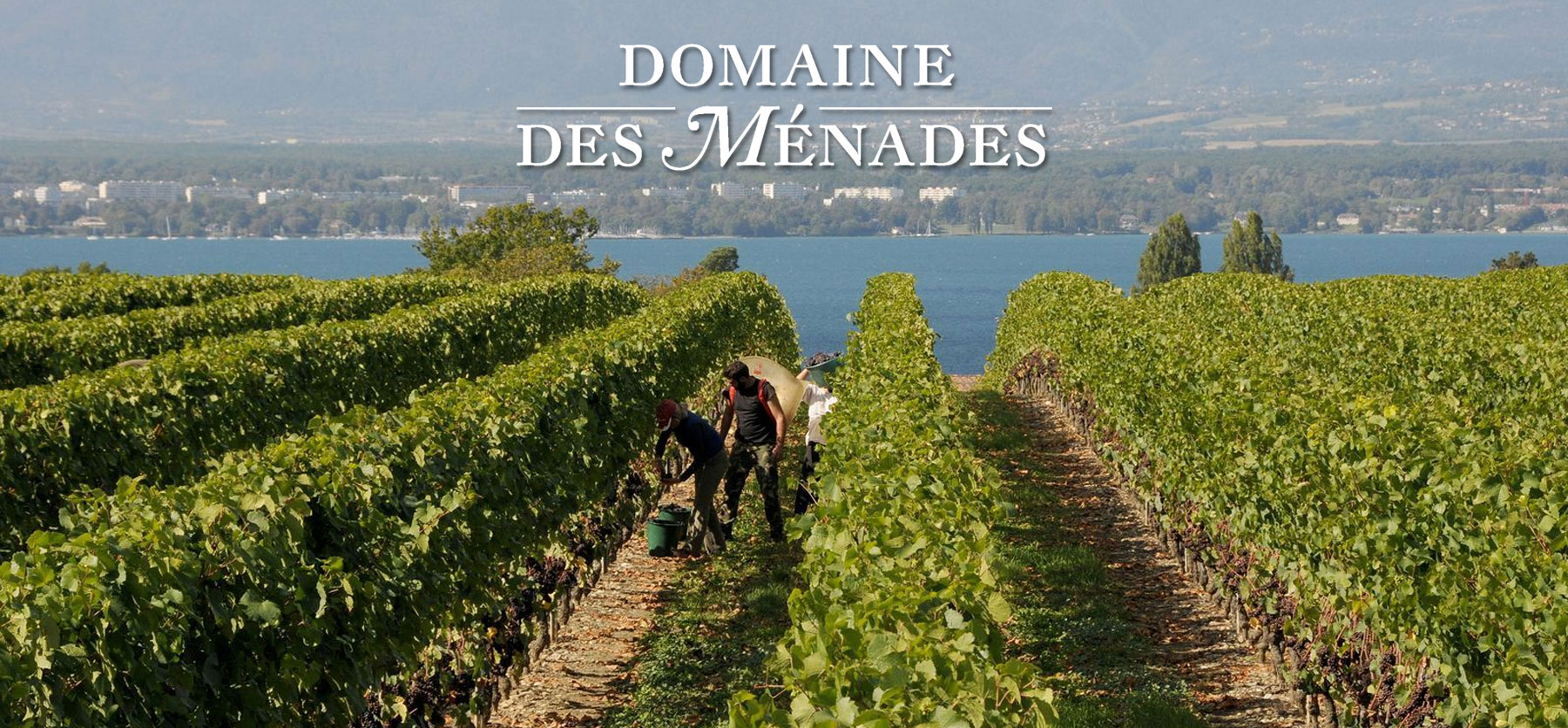 parcours 2024 - Alain Jacquier Domaine les Ménades